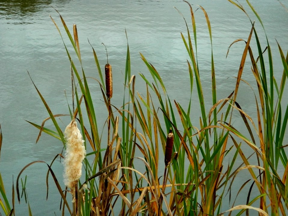 Groots geboren klein&nbsp;sterven.