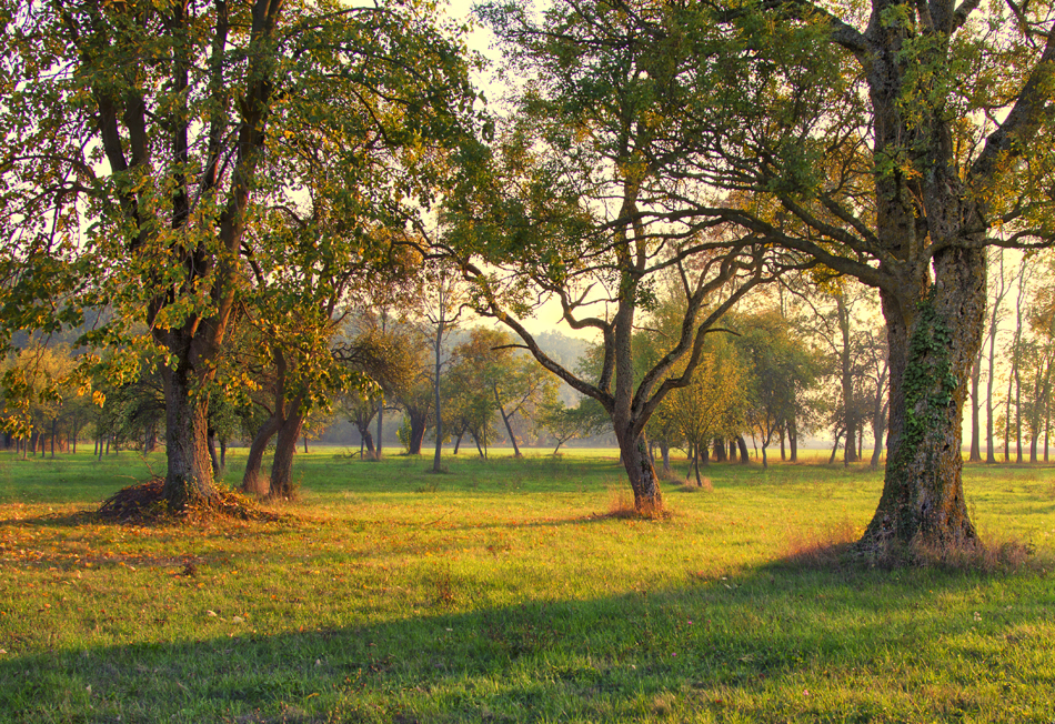 De denkgeest kan het geheel niet&nbsp;bevatten